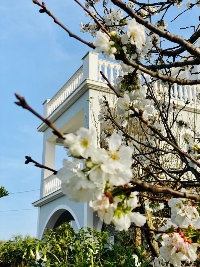 Theros Villa Plános Zewnętrze zdjęcie